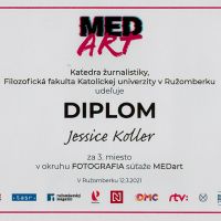 Diplom jessica koller